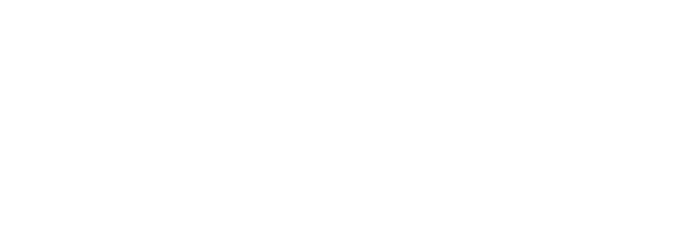 logo apaq-w